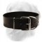 Leather Collar 50 mm for Walking and Training