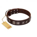 "Needle Stories" Modern FDT Artisan Brown Leather Golden Retriever Collar with Square Engraved Plates and Four-Point Stars