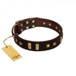 "Choco Delight" FDT Artisan Brown Leather Golden Retriever Collar with Old Bronze-like Plates and Studs