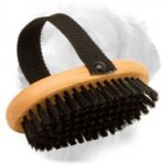 Easy in Use Bristle Wood Golden Retriever Brush