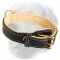 Golden Retriever Classic Nappa Padded Leather Collar