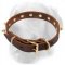 Golden Retriever Multipurpose Spiked Leather Collar