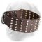 Wide Leather Golden Retriever Collar with Nickel Plated Spikes and Pyramids