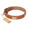 "Enchanting Spectacle" FDT Artisan Tan Leather Golden Retriever Collar with Old Bronze Look Plates and Round Studs