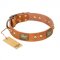 "Saucy Nature" FDT Artisan Tan Leather Golden Retriever Collar with Old Bronze Look Plates and Skulls