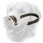 'The Silencer' Golden Retriever Metal One Strap Dog Muzzle