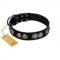 "Magic Amulete" Handcrafted FDT Artisan Black Leather Golden Retriever Collar with Chrome-Plated Shields