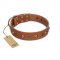 "Silver Age" Fashionable FDT Artisan Tan Leather Golden Retriever Collar with Silver-Like Studs