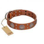 "Sun Rise Noon" FDT Artisan Tan Leather Golden Retriever Collar with Unique Design