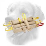 Eco-Friendly Jute Golden Retriever Bite Training Set (5 Items)