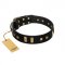 "Fit for Royalty" FDT Artisan Black Leather Golden Retriever Collar with Plates and Small Square Studs