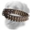 Leather Golden Retriever Collar with Spikes and Half-Ball Studs