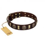 "Skull's Adventure" FDT Artisan Brown Leather Golden Retriever Collar with Plates and Ovals