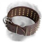 3 Inch Leather Golden Retriever Collar with 5 Rows of Spikes