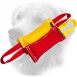 French Linen Golden Retriever Set of 2 Items for Puppy Training