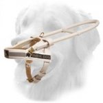 White Leather Golden Retriever Harness for Guide Dogs