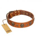 "Rockstar" FDT Artisan Tan Leather Golden Retriever Collar with Engraved Studs and Medallions