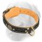 Royal Nappa Padded Leather Golden Retriever Collar