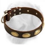 Unique Design Handcrafted Leather Collar with Oval Plates
