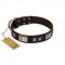 "Satin Beauts" FDT Artisan Brown Leather Golden Retriever Collar with Stars and Plates