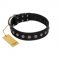 "Silver Flower" Exclusive FDT Artisan Black Leather Golden Retriever Collar with Silver-Like Studs