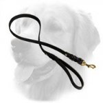 20 mm Braided Leather Golden Retriever Leash