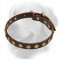 Golden Retriever Leather Collar Small Brass Circles