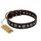 "Victory Ode" FDT Artisan Brown Leather Golden Retriever Collar with Silver-like Plated Decorations