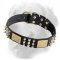 Gladiator Decorated Leather Collar for Golden Retrievers