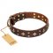 "High Fashion" FDT Artisan Embellished Brown Leather Golden Retriever Collar