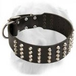 Perfect Leather Collar with Nickel Pyramids