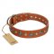 "Natural Beauty" FDT Artisan Tan Leather Golden Retriever Collar with Shining Silver-like Studs