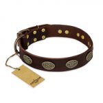 "Chocolate kiss" FDT Artisan Leather Golden Retriever Collar with Old Bronze Look Oval Plates