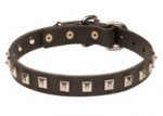 Golden Retriever Leather Collar Caterpillar Design