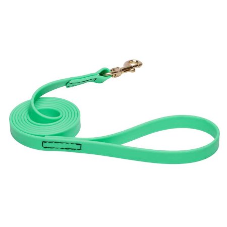 Green Waterproof Golden Retriever Leash Made of Biothane