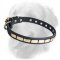 Golden Retriever Leather Collar Small Brass Plates