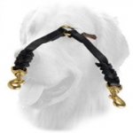 Golden Retriever Leather Coupler Braided