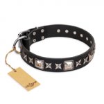 "Space Walk" FDT Artisan Black Leather Golden Retriever Collar with Adornments