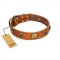 "Knights Templar" FDT Artisan Tan Leather Golden Retriever Collar with Skulls and Crossbones Combined with Squares