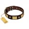 "Heavy Metal" FDT Artisan Brown Leather Golden Retriever Collar with Old Bronze-like Skulls and Plates