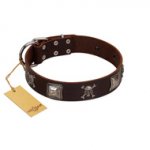 "Nut-Brown Finery" Embellished FDT Artisan Brown Leather Golden Retriever Collar with Chrome Plated Crossbones and Plates
