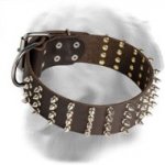 2 Inch Leather Golden Retriever Collar with 4 Rows of Spikes