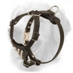 Small Padded Leather Golden Retriever Harness with Pyramids