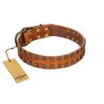"Terra-cotta" FDT Artisan Tan Leather Golden Retriever Collar with Two Rows of Studs