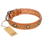 "Feast of Luxury" FDT Artisan Tan Leather Golden Retriever Collar with Old Bronze Look Circles
