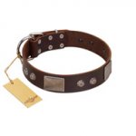 "Stone Stars" Stylish Handmade FDT Artisan Brown Leather Golden Retriever Collar