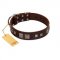 "Object of Virtu" FDT Artisan Brown Leather Golden Retriever Collar with Old Silver-like Square Studs and Pyramids