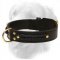 Gorgeous Wide 2 Ply Leather Golden Retriever Collar