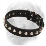 Elegant Leather Golden Retriever Collar with Nickel Pyramids