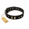 "De Luxe" FDT Artisan Black Leather Golden Retriever Collar with Old Bronze-like Plates and Studs